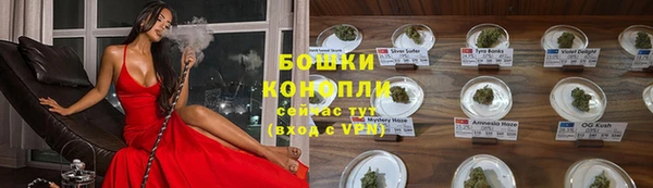 тгк Медногорск
