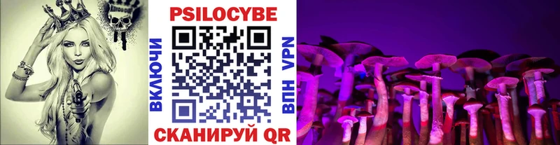 Галлюциногенные грибы Psilocybe  Перевоз 
